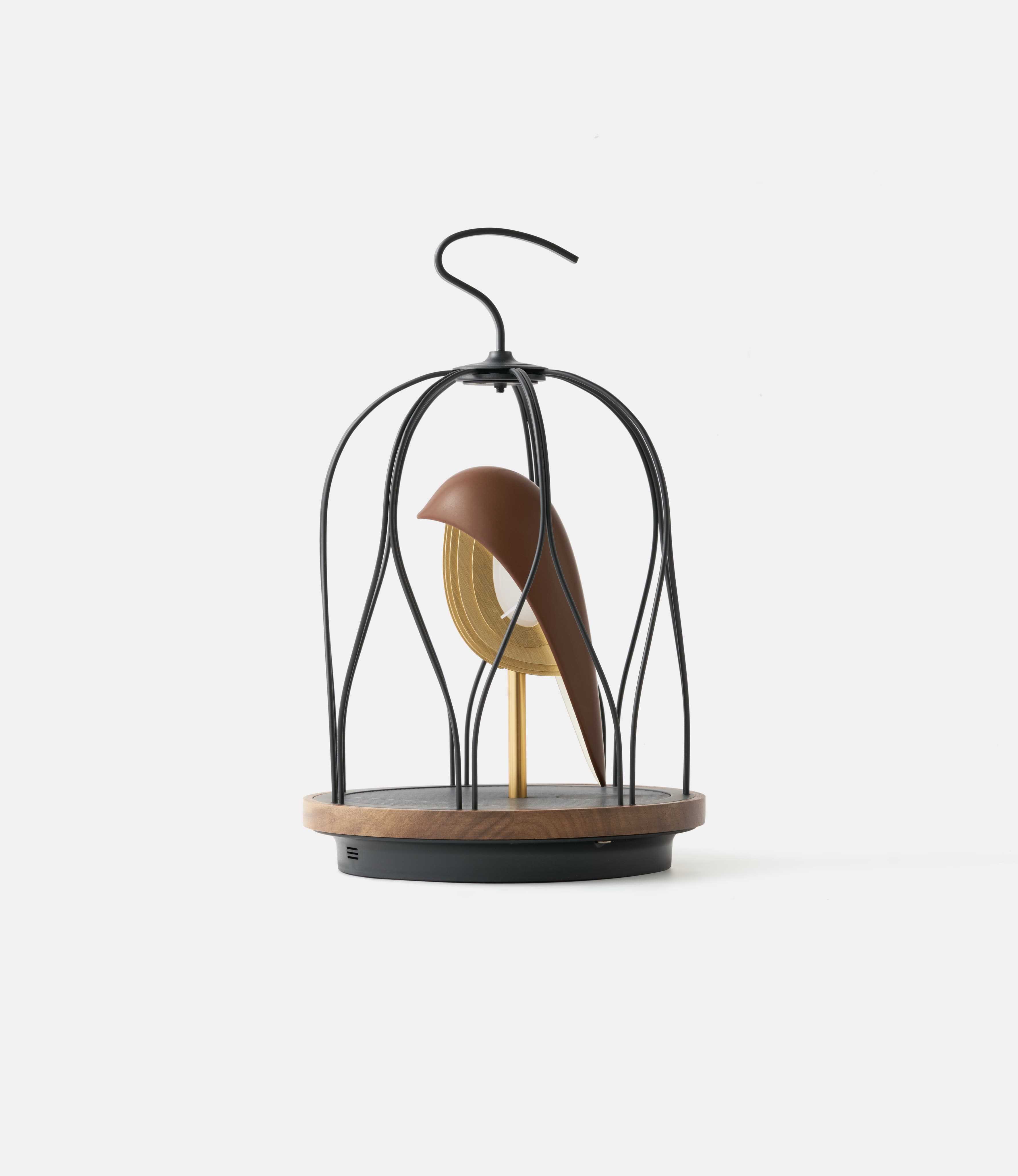 Daqi Concept Jingoos Terra Cocoa — акустический светильник